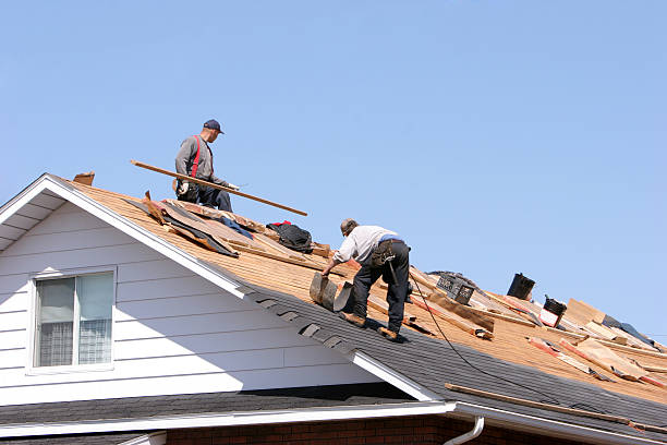 Best Storm Damage Roof Repair  in Perry, IA